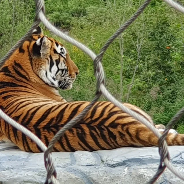 중년신사