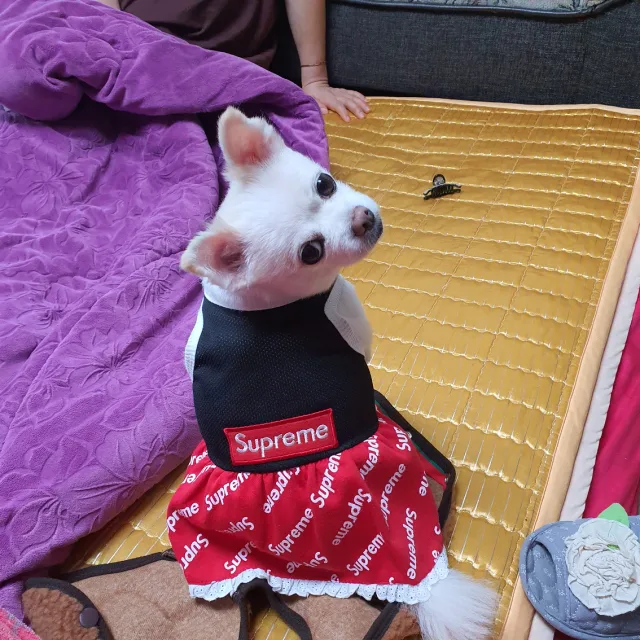 뚱이맘