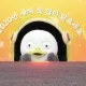 배고픈쫑이