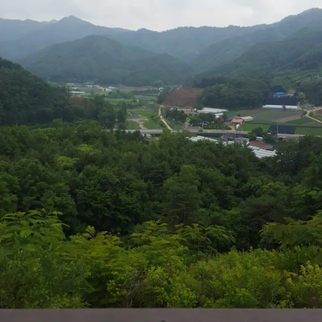 허니16