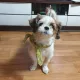 별난오징어