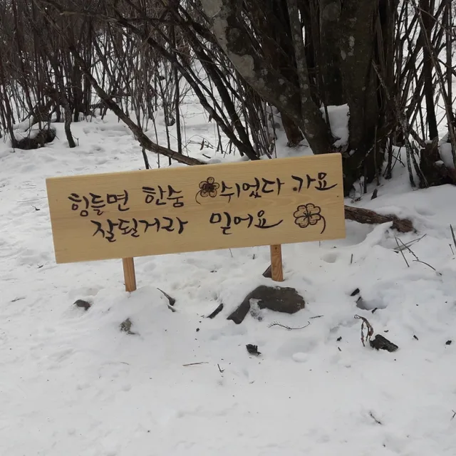 우상향가즈아