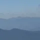 봑여사