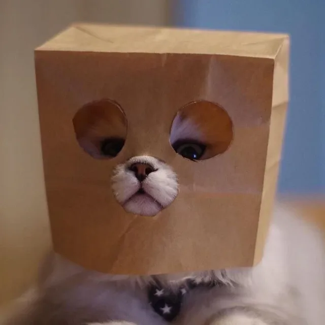 메네