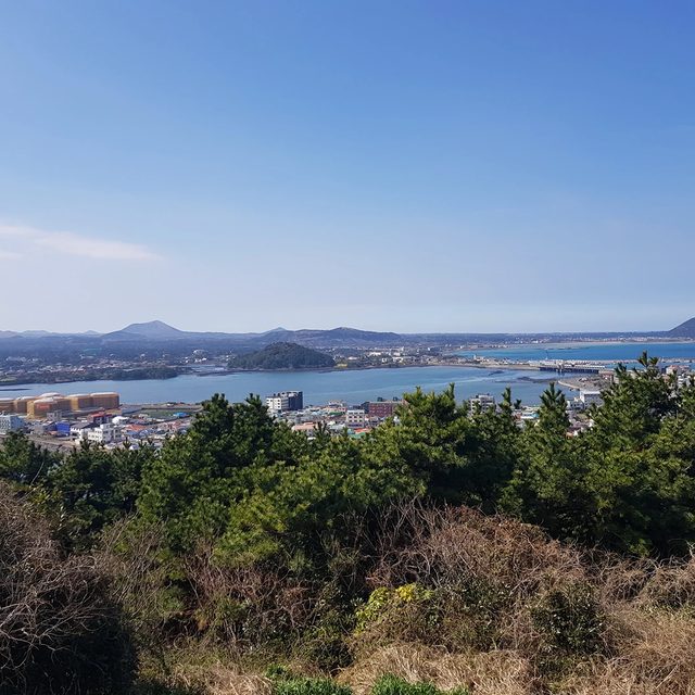 4잎크로바