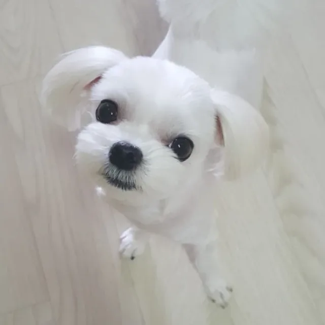 우리콘