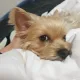 윤슬맘
