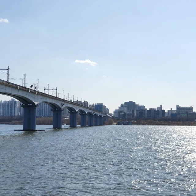 뇸뇸