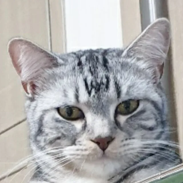 제이