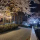 찐철