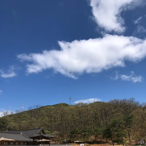 당근당근