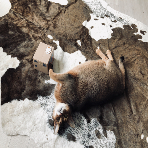 우리충이