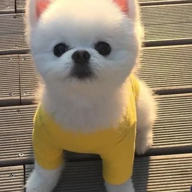 통키