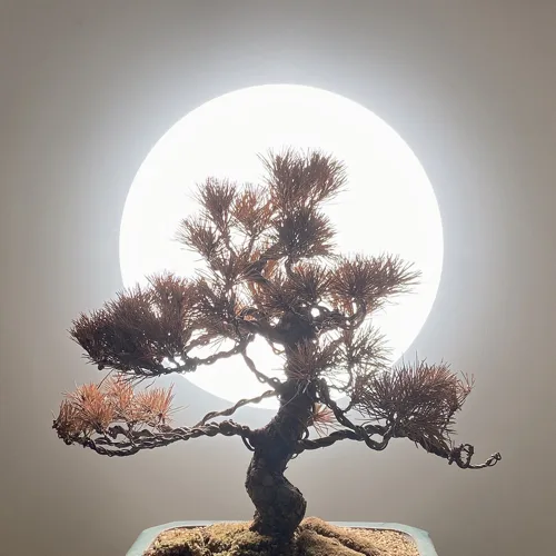 죠죠죠