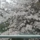 은주
