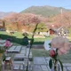꼼순이