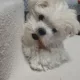 태도연맘