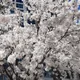영희우맘