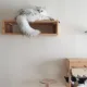 좌프우콩
