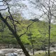 투윤님