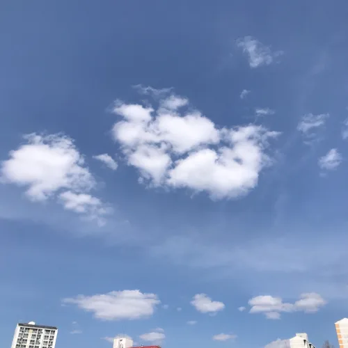 자양동아주머니