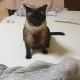 한번써보게