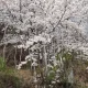츄르릉
