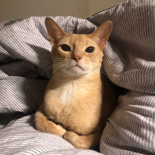 리뷰 프로필 이미지