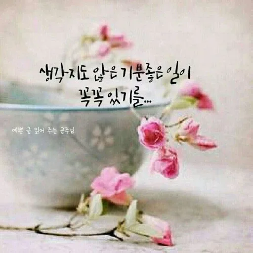 seul