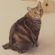 진성