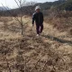 호두