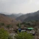 놀자