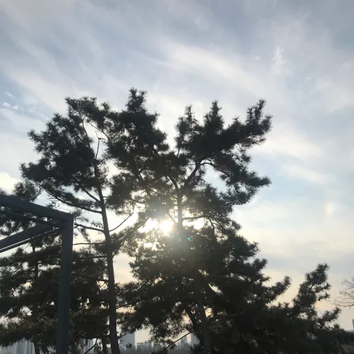 칸진리