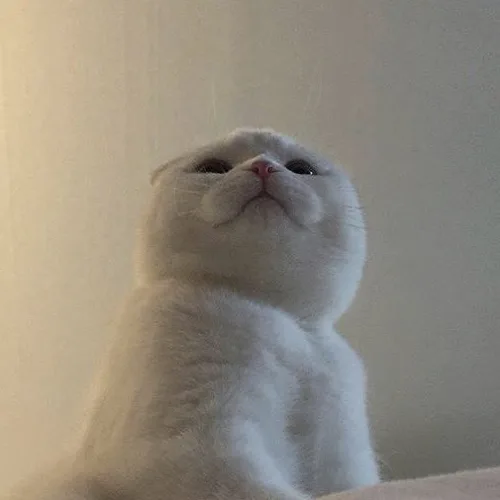 고영희