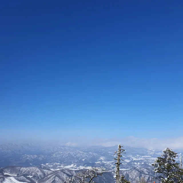 이프로