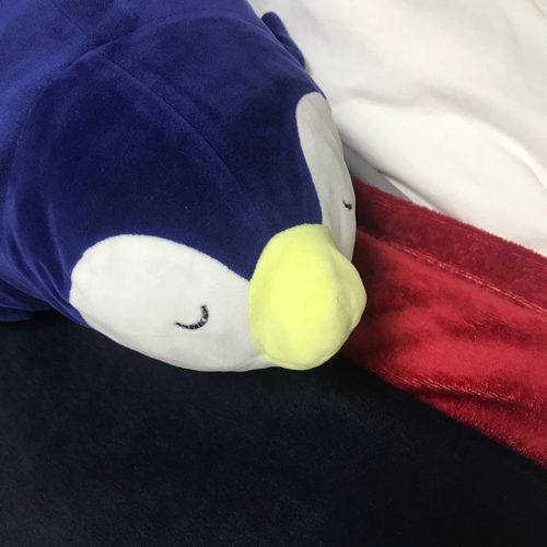 찬앵