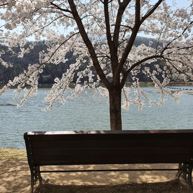 달콩