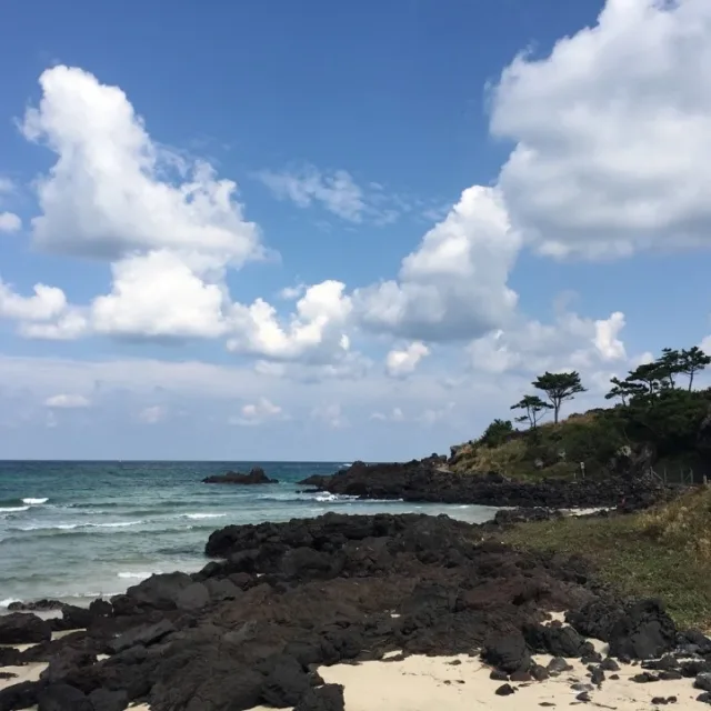 햇살