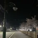 니이크넴