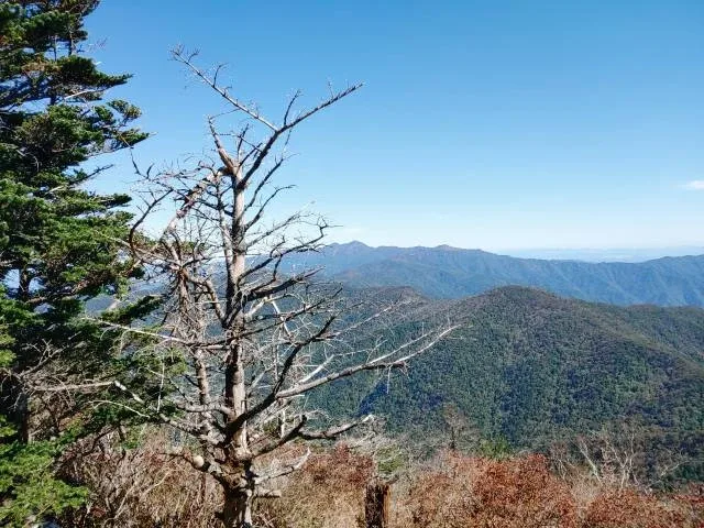 환타09
