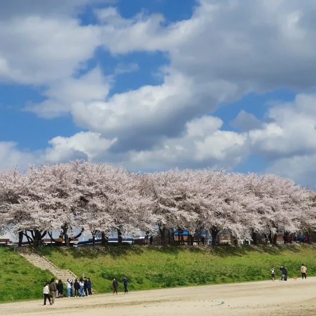크래커