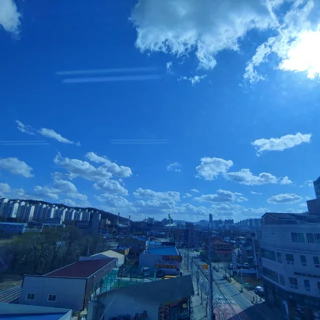 레옹