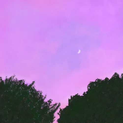 행복한이웃