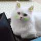 쟈스민과라라