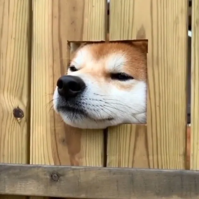 나무스푼