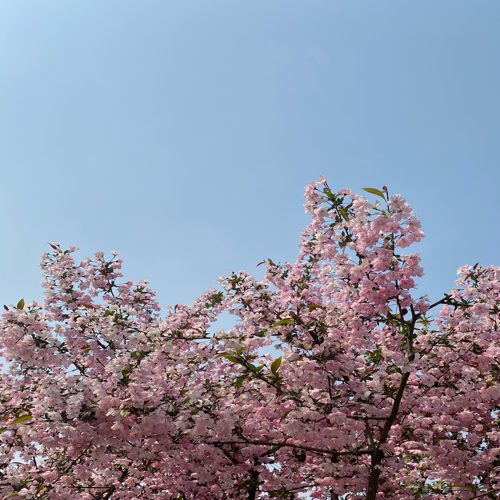 동그름