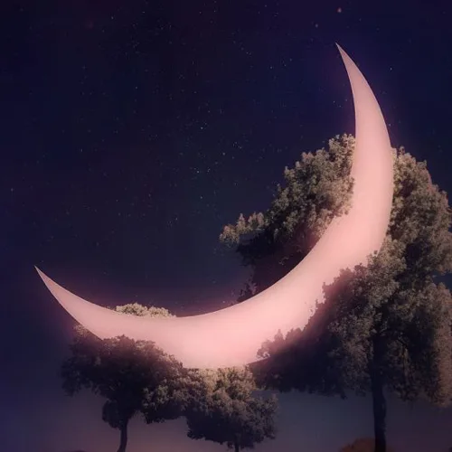 존코너바리