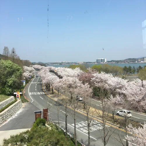 별이