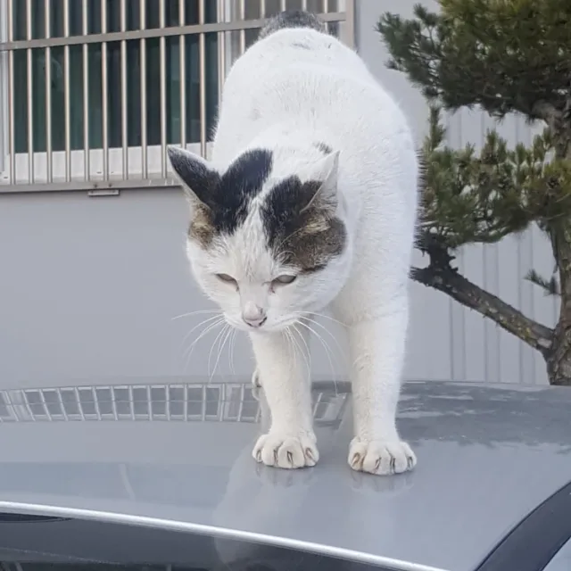 시간지켜주세요