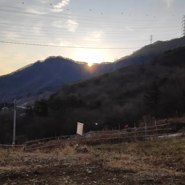 산만디
